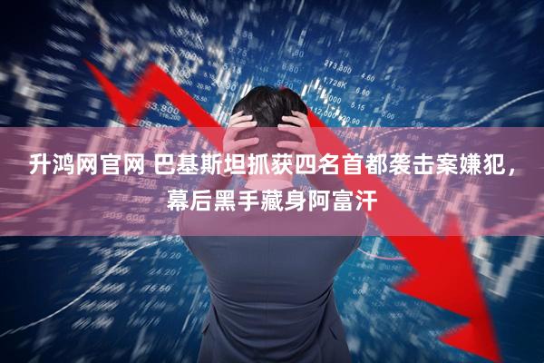 升鸿网官网 巴基斯坦抓获四名首都袭击案嫌犯，幕后黑手藏身阿富汗